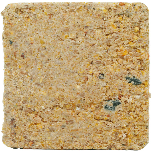 Gardeners Dream Mealworm Suet Blocks