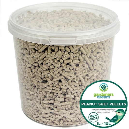 Gardeners Dream Peanut Suet Pellets (Tubs)