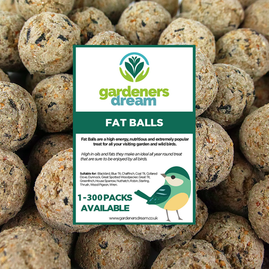 Gardeners Dream Suet Fat Balls