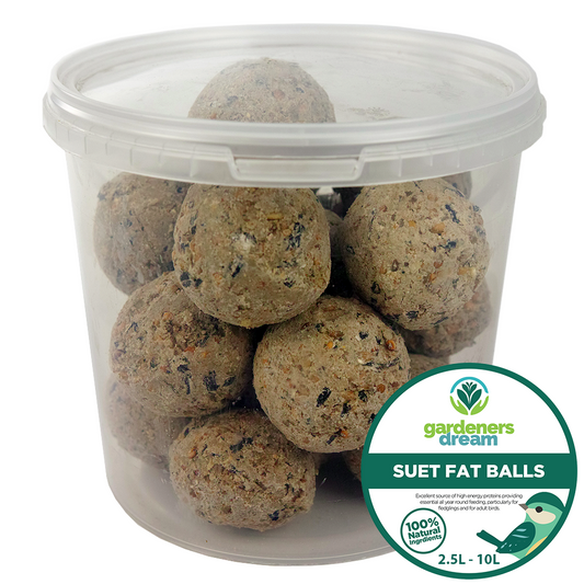 Gardeners Dream Suet Fat Balls (Tubs)