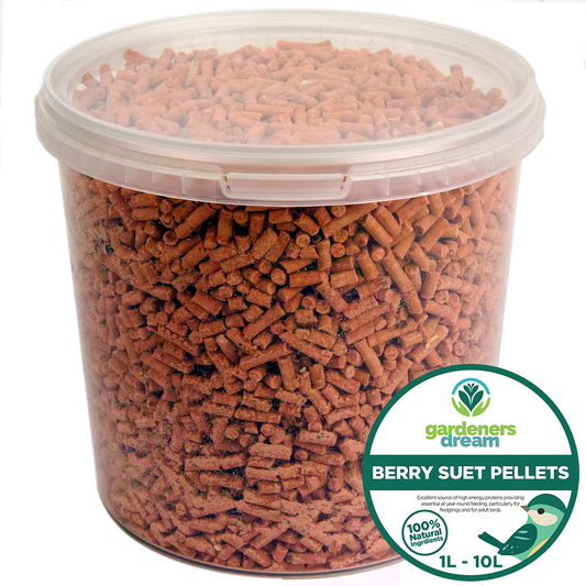 Gardeners Dream Berry Suet Pellets (Tubs)