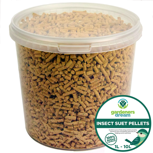 Gardeners Dream Insect Suet Pellets (Tubs)