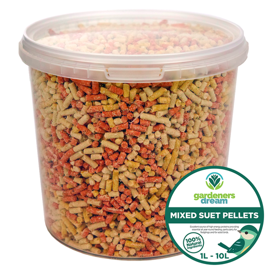 Gardeners Dream Mixed Suet Pellets (Tubs)