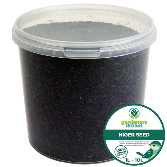 Gardeners Dream Niger Seeds (Tubs)