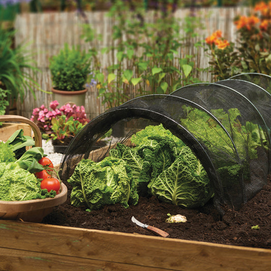 GI Net Grow Tunnel