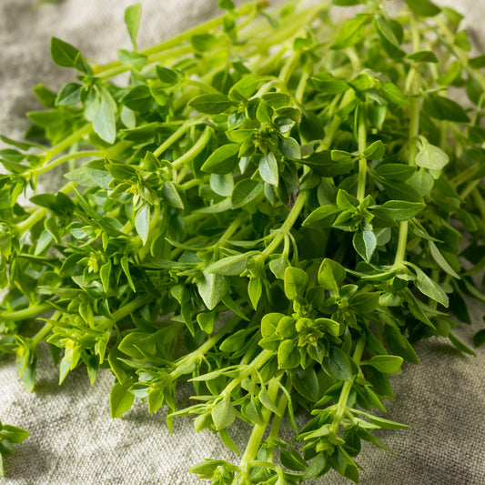 Basil Spicy