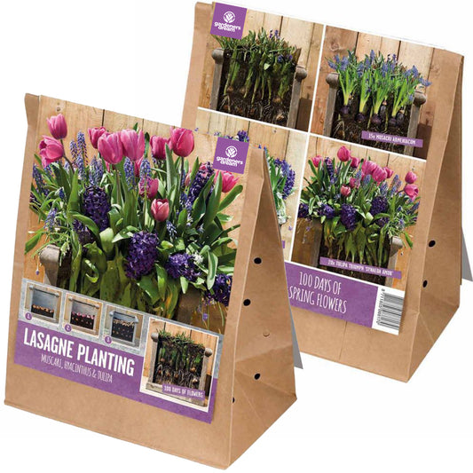 Lasagne Planting Bulb Mix - Pink & Blue