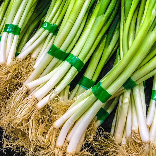 Spring Onion Carry Pack