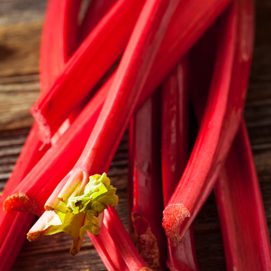 Rhubarb 'Sutton's Seedless' Bare Root Crowns