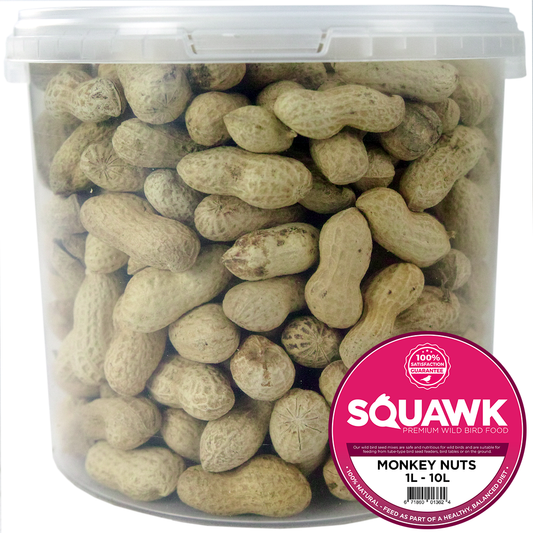 SQUAWK Monkey Nuts (Tubs)