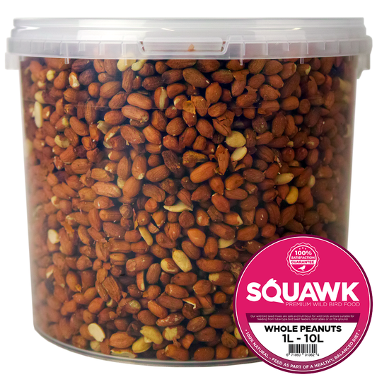 SQUAWK Whole Peanuts (Tubs)