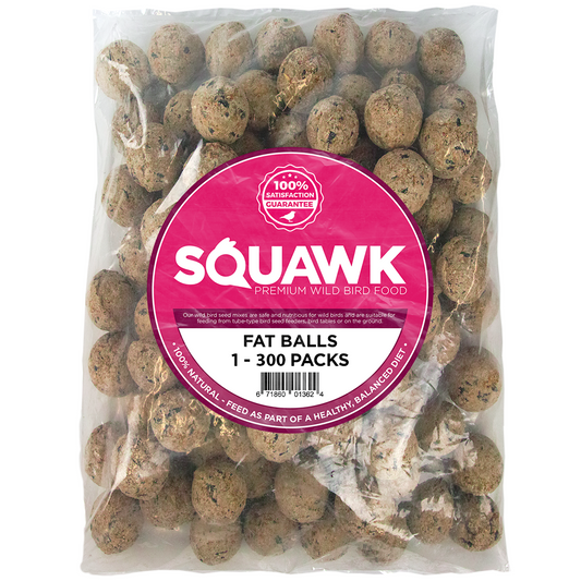 SQUAWK Suet Fat Balls