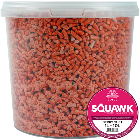 SQUAWK Berry Suet Pellets (Tubs)