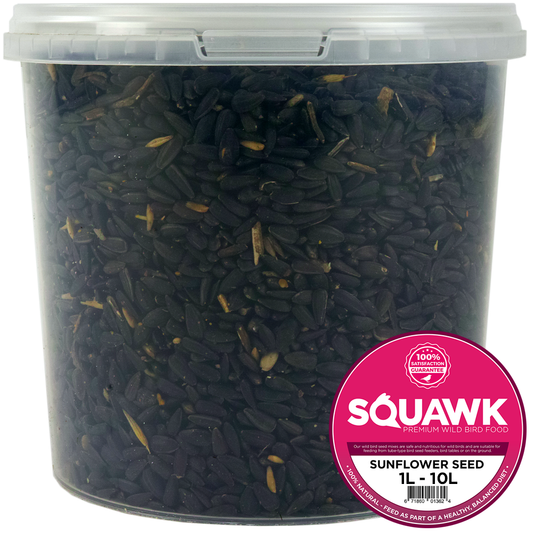 SQUAWK Black Oil Sunflower Seeds (Tubs)