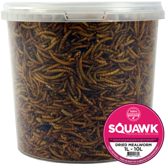 SQUAWK Dried Mealworms (Tubs)