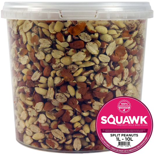 SQUAWK Split Peanuts (Tubs)