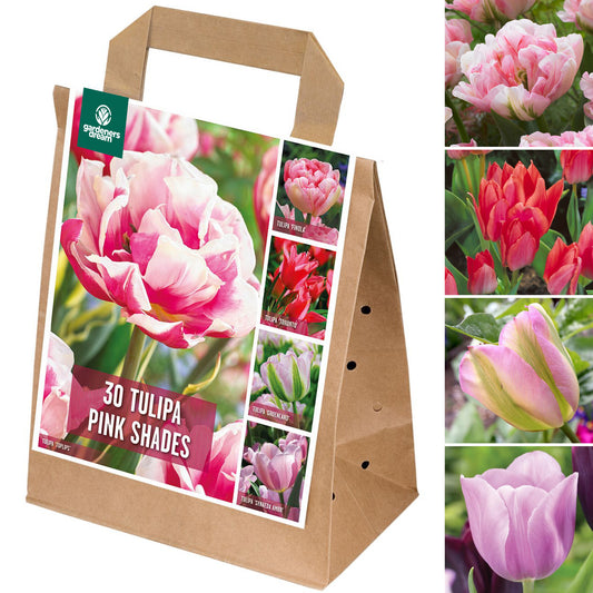 Pink Tulip Garden Mix