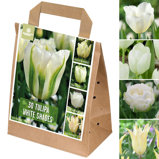 White Tulip Garden Mix