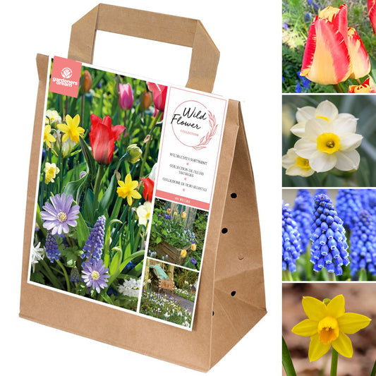 Spring Bulbs Mix - Wild Flowers