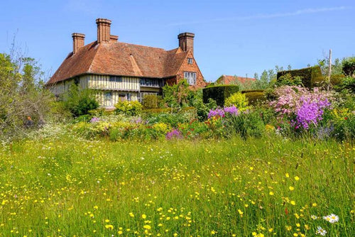 A traditional English Tudor-style house with timber framing and brick chimneys sits behind a vibrant wildflower meadow. The garden features yellow buttercups in the foreground, with purple and pink flowers and mixed perennials surrounding the house. The scene is set against a bright blue sky on a sunny day.