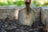 Close-up of a metal garden trowel blade partially inserted into dark, rich soil in what appears to be a wooden raised garden bed, with a soft, blurred natural background