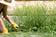 Close-up of hands wearing bright yellow gardening gloves pulling weeds from among tall green plants and grass, with a white sun hat partially visible at the top of the frame